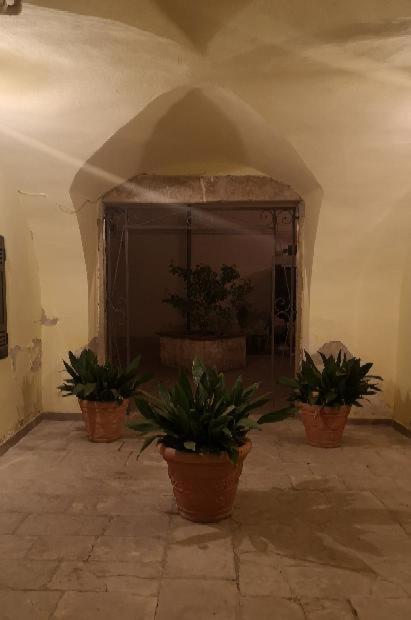 Les Maisons Coco Trani Exterior photo